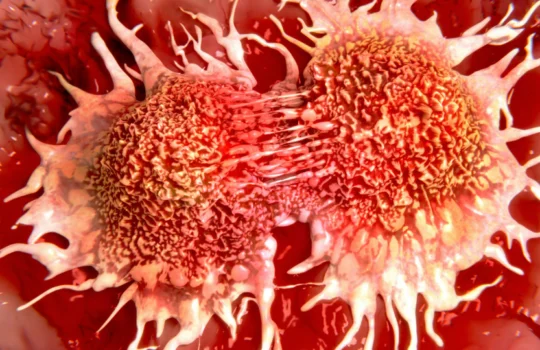 Medicamento Pemetrexede Dissódico